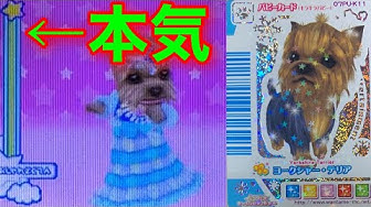 ワンタメ Youtube