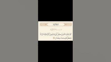 من سورة الرّعد (اللّٰه يعلم ما تحمل كلّ أنثى ) 🌿❤️الشيخ عبد الباسط عبد الصمد ♡