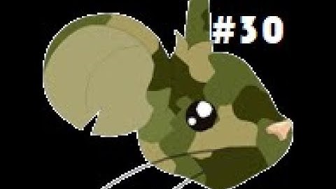 Transformice All P3 Bootcamps #30: Special Edition
