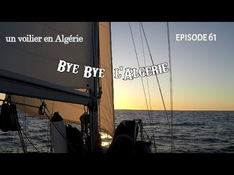 ⁣bye bye  l'Algérie #61