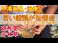 珍しい若雌鶏の趾瘤症～バンブルフットのニワトリを明治きず薬と包帯で治療2～