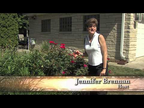 The Perennial Butterfly Garden Youtube