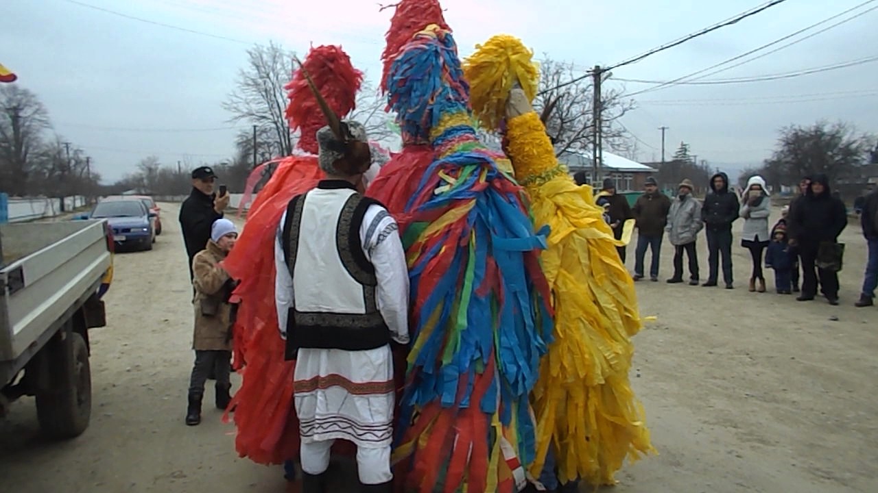 Nunta taraneasca din com. Prisacani Satul Nou 2016-2017