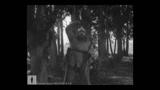 Charlie Chaplin in Tree Disguise -