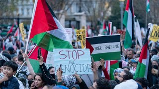 Anti-Semitism at University Palestine protests ‘similar to early days of Nazi Germany'