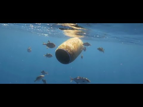 Vidéo: L'ampleur De La Pollution Marine Est Accablante, Mais L'art Peut Aider à La Prévenir [Galerie]