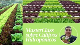 👨🌾MasterClass sobre Cultivos Hidropónicos #cultivo 👨🌾MasterClass sobre Cultivos Hidropónicos #cultivo