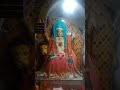 आते है हर साल नवरातें माता के 🙏🏻😊#jaimatadi #vaishnodevi #navratrispecial #shorts