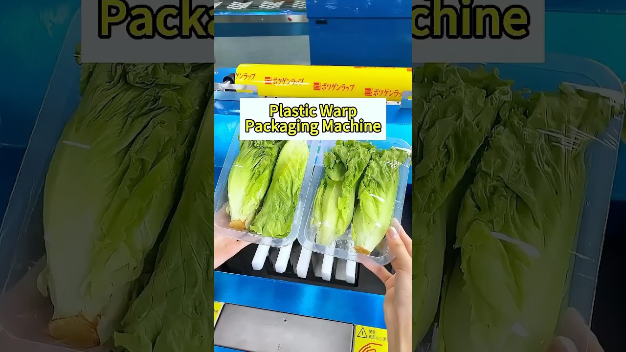 Automatic Plastic Warp Packaging Machine