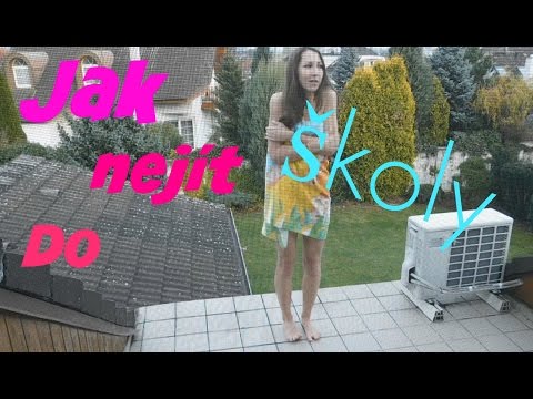 Video: Tyto Easy DIY Cookies jsou perfektní dovolenou pro vaše Pup