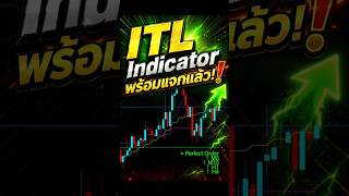 แจกฟรี! Indicator ITL_MTF สำหรับ MT5 พร้อมใช้งานแล้ว 🎉 #เทรดforex #trading #สอนเทรด