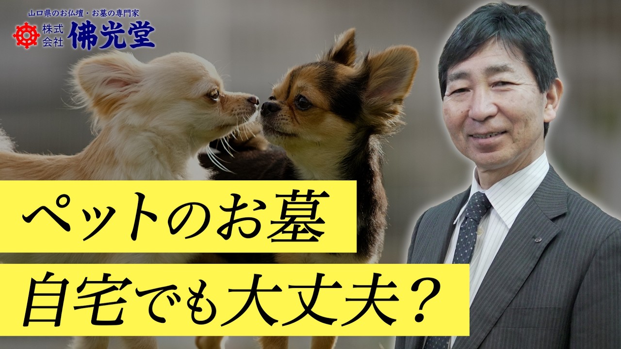 亡くなったペットのお骨、どうする？自宅供養とペット墓の選択肢