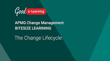 Change Management: The Change Lifecycle (APMG Change Management)