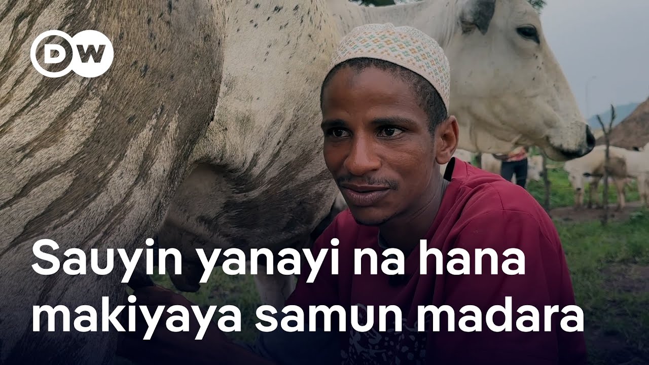 Yadda rashin tsaro da yanayi ke tauye samun madara a Najeriya 