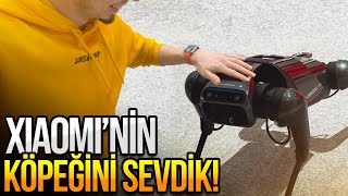 Bilim Kurgu Dizisinden Çıkma Xiaomi Köpek Karşımızda