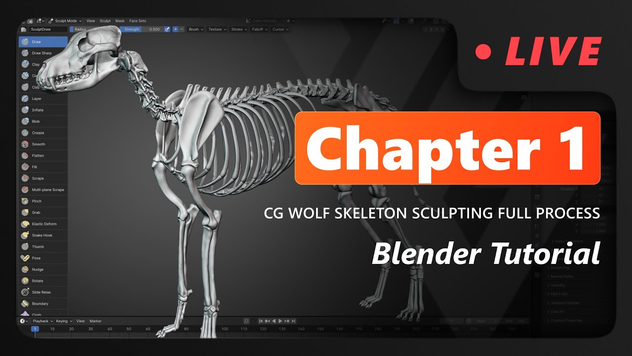 Blender Tutorial: Wolf Skeleton Sculpting Full Process - Chapter 1