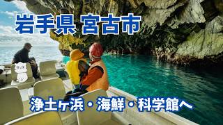 【岩手旅行】子連れで巡る宮古市観光スポット4選｜浄土ヶ浜・道の駅・公園・水族館