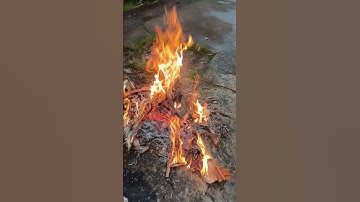 Cá lóc Nướng lá chuối khô