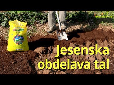Video: Jesenska obdelava tal: odstranjevanje plevela, rahljanje, gnojenje