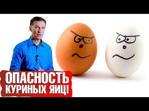 Чем опасны куриные яйца? Повышают ли яйца холестерин? ?