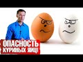 Чем опасны куриные яйца? Повышают ли яйца холестерин? 🍳