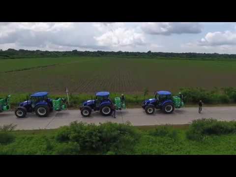 ფაროსანას წინააღმდეგ სიმინდის საყანე ფართობების პერიმეტრების დამუშავება დაიწყო