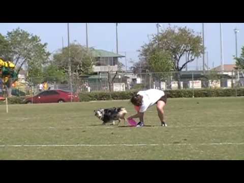 2010 Skyhoundz SE QUALIFIER Autumn Trainor and Fir...