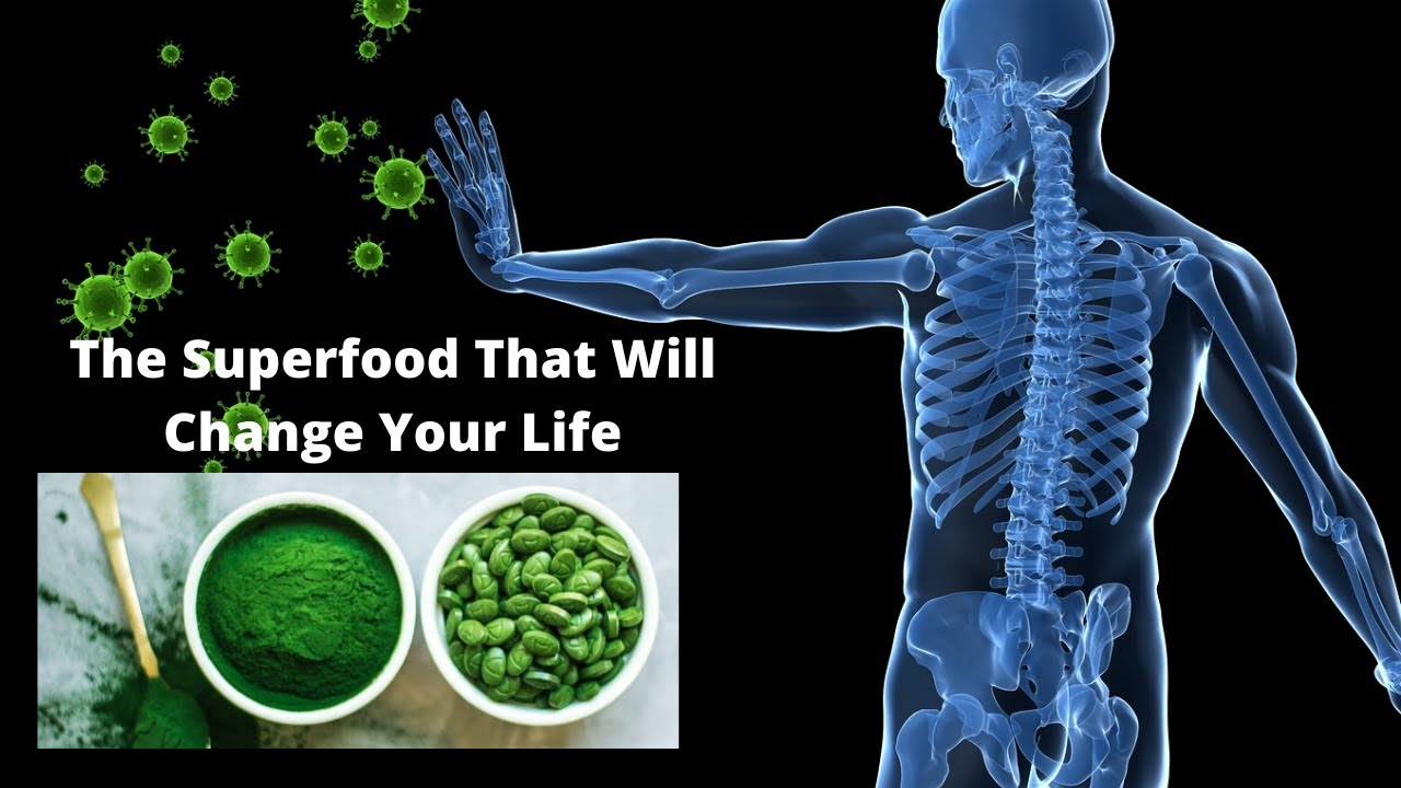 Can You Take Spirulina And Chlorella Together Spirulina And Chlorella While Breastfeeding at Thomas Cash blog