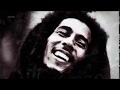 Le Reggae Son Histoire 
