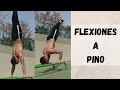 APRENDE a hacer las FLEXIONES A PINO