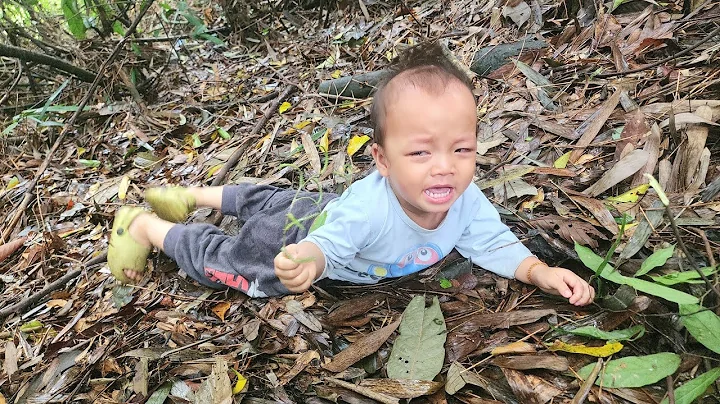 A Single Mother Helplessly Searched For Her 4-Year-Old Child Lost In The Forest - DayDayNews