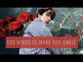 EXO vines to make you smile pt.42