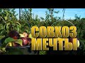 Специальный репортаж «Совхоз мечты»