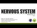 Nervous system part 1