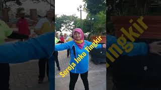 Seroja Joko Tingkir