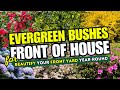 🏡🌲TOP 10 Evergreen Bushes That