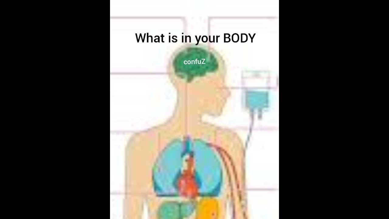 Download what is in your body - confuZ (clip official)