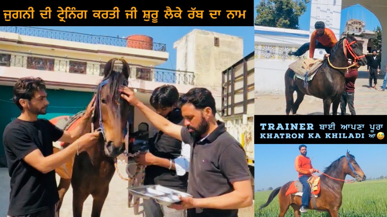 ਜੁਗਨੀ ਦੀ ਟ੍ਰੇਨਿੰਗ ਕਰਤੀ ਜੀ ਸ਼ੁਰੂ । STARTED TRAINING MY HORSE FILLY | DAILY TRAINING SESSION…