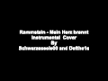 Rammstein  mein herz brennt instrumental cover by schwarzeseele00 and defthe1s