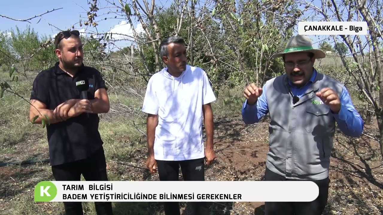 TARIM BİLGİSİ | BADEM YETİŞTİRİCİLİĞİNDE BİLİNMESİ GEREKENLER | ÇANAKKALE/BİGA