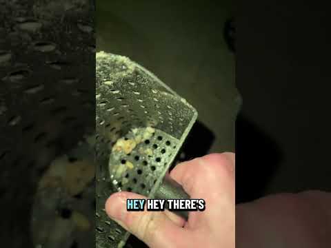 هذه الغنيمة تريد أن تبقى مخفية كشف المعادن كنز افعل أشياء لا تريد فعلها