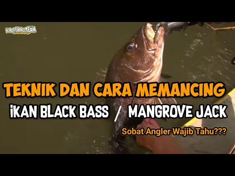 Video: Bisakah kamu memancing ikan bass?