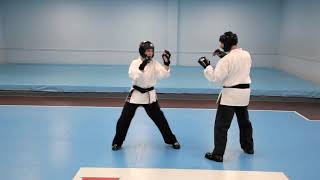 Sparring Combination - Backfist/Reverse Punch/Ridgehand