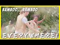 #3: This Bamboo Resort Celebrates Orang Asli (Malaysia Aboriginal) Culture! [Tadom Hill]