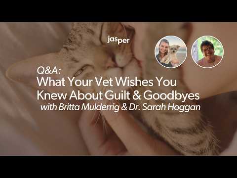What Your Vet Wishes You Knew About Guilt and Goodbyes | Ask a Vet Q&A