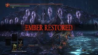 Darkeater Midir 2nd phase epic sync