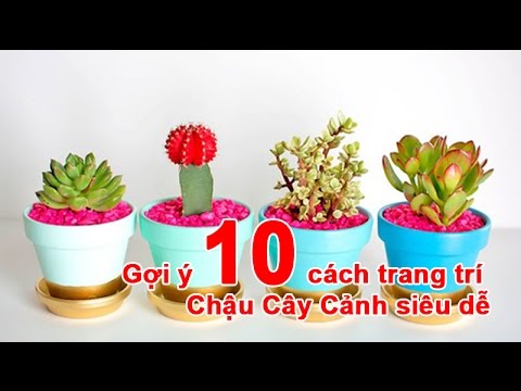 Video: Cách Trang Trí Chậu Trồng Cây