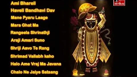 Shrinathji Satsang | Top 10 Songs | Maara Ghat Ma ...
