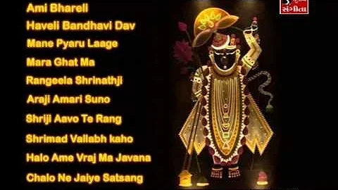 Shrinathji Satsang | Top 10 Songs | Maara Ghat Ma Birajta Shrinathji |