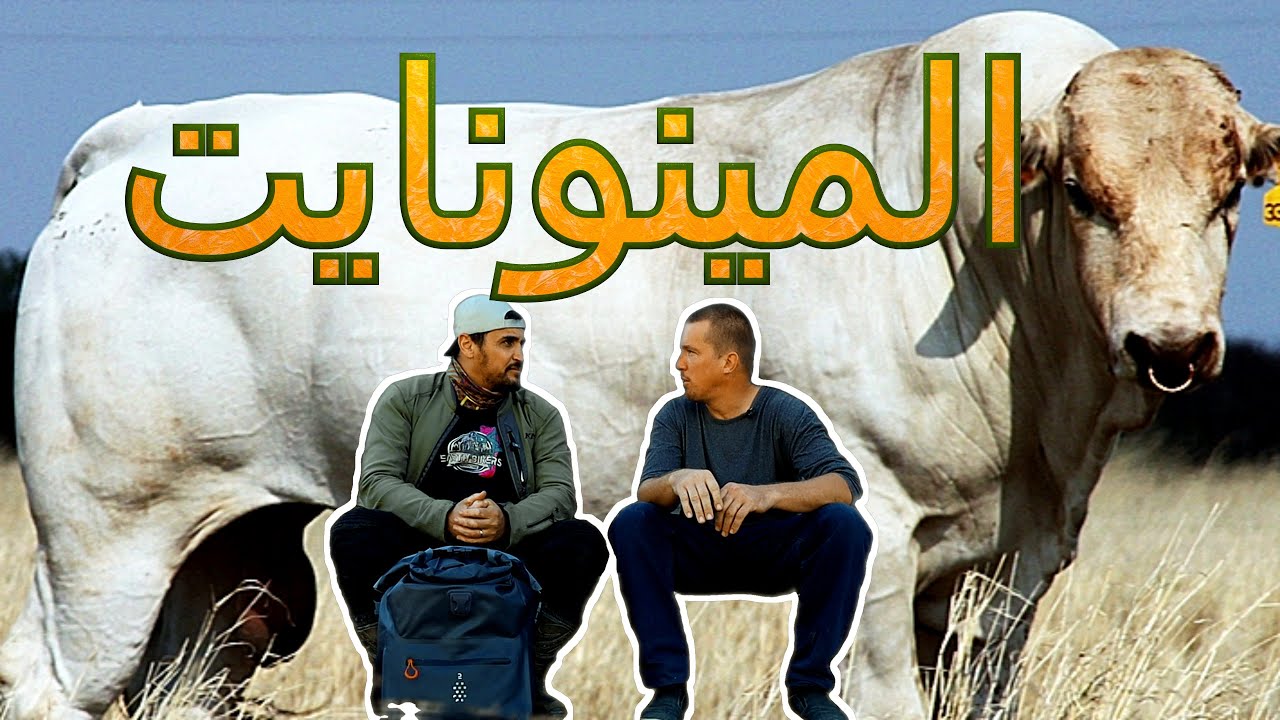 زيارتي لأقليات المينونات في البراغواي و تجربتي لتربية المواشيٍ          S3V36